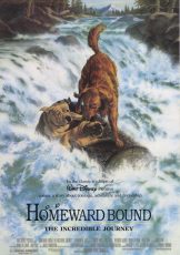 Homeward Bound The Incredible Journey