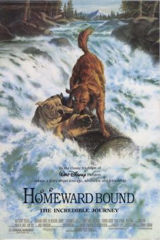 Homeward Bound: The Incredible Journey (1993) สองหมาหนึ่งแมว ใครจะพรากเราไม่ได้