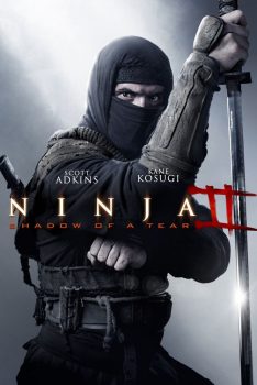 Ninja: Shadow Of A Tear (2013)