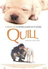 Quill The Life of a Guide Dog