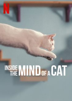 Inside the Mind of a Cat (2022)