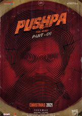 Pushpa The Rise - Part 1 (2021)
