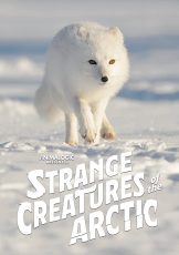 Strange Creatures of the Arctic (2022)